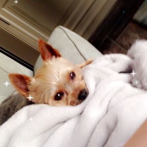 Meet your Posher, Cherika